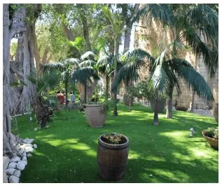 Berengaria’s garden.