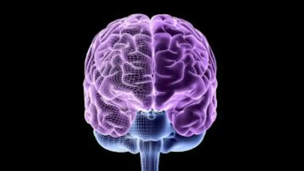 How Internal Dialogue Shapes Your Brain